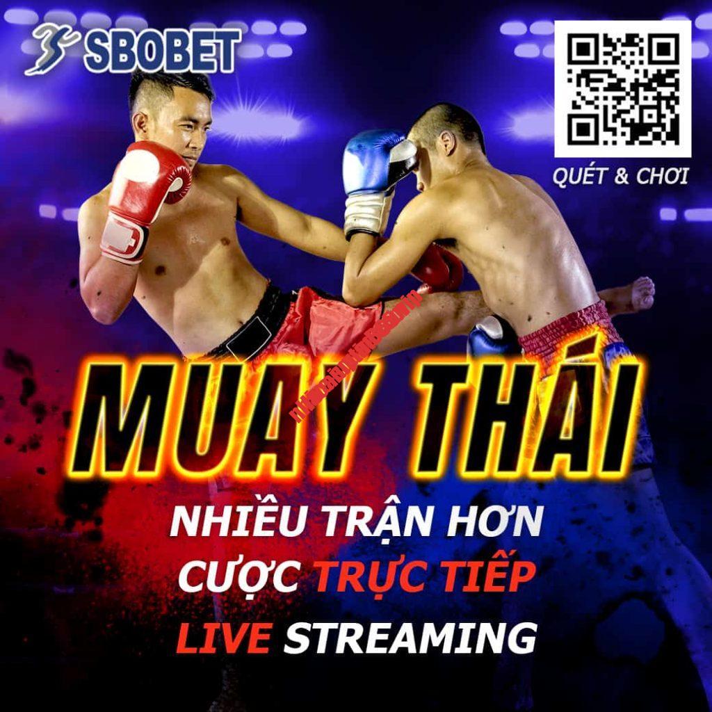 Sbobet 5 sbobet